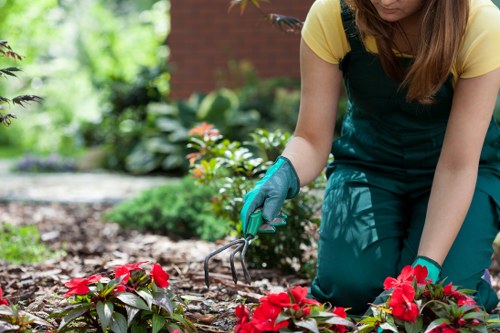 A team of professional cleaners ensuring a spotless environment